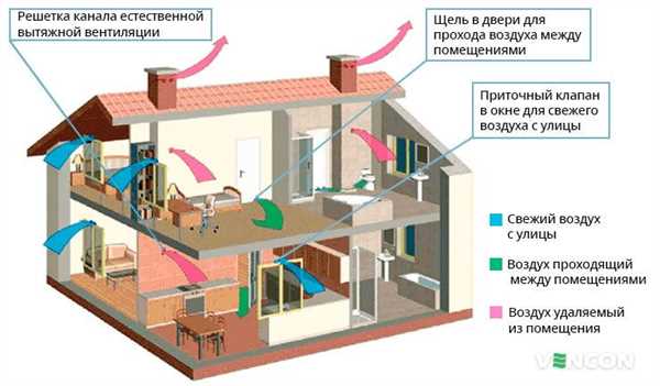 Виды