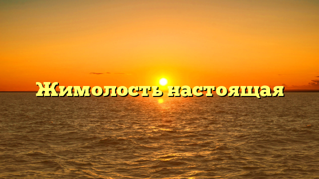 Жимолость настоящая