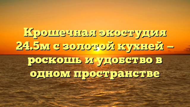 Крошечная экостудия 24.5м с золотой кухней — роскошь и удобство в одном пространстве